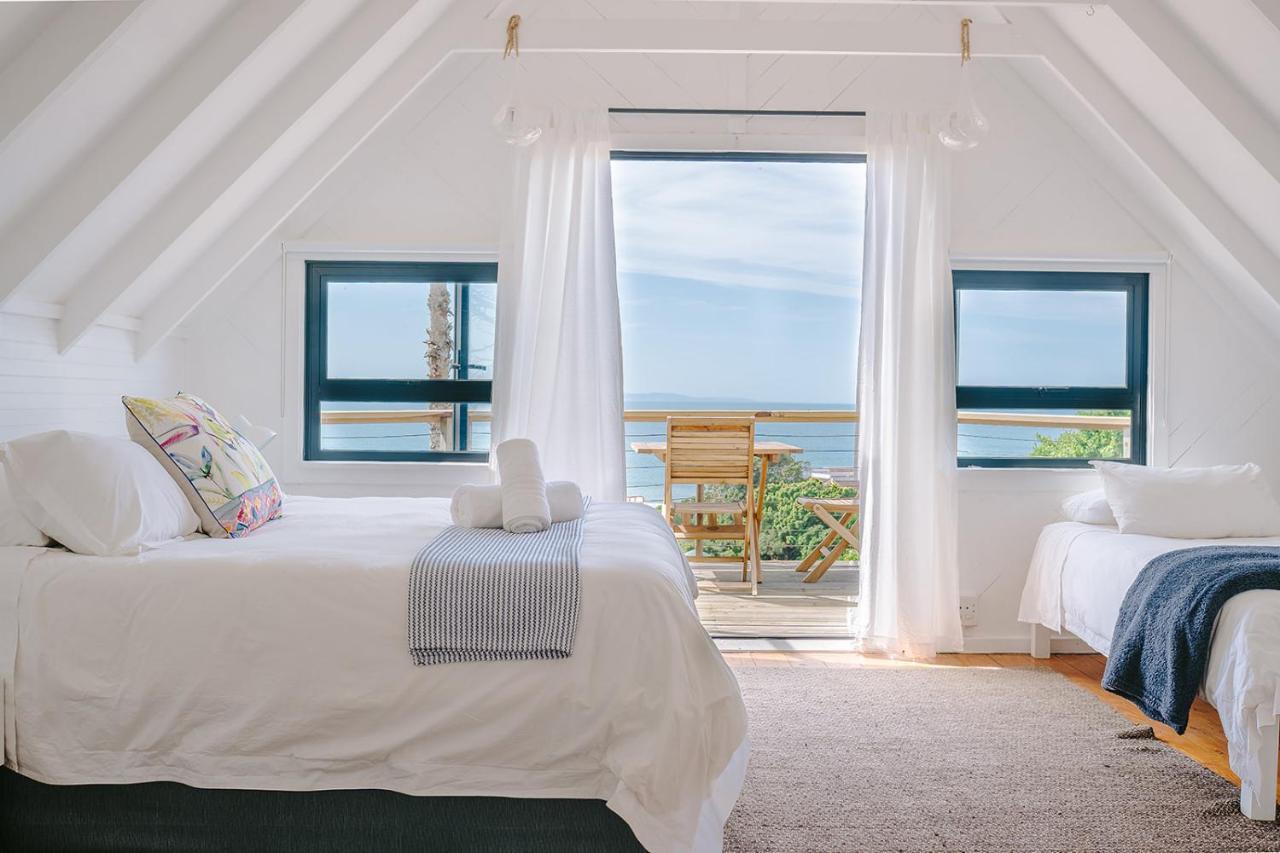 10i Mimosa Jeffreys Bay